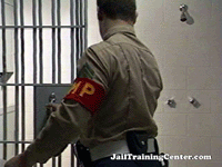Marine Brig